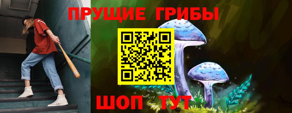 Горно-Алтайск  Псилоцибиновые грибы мухоморы  Вход с VPN  где найти   Псилоцибиновые грибы Psilocybe 