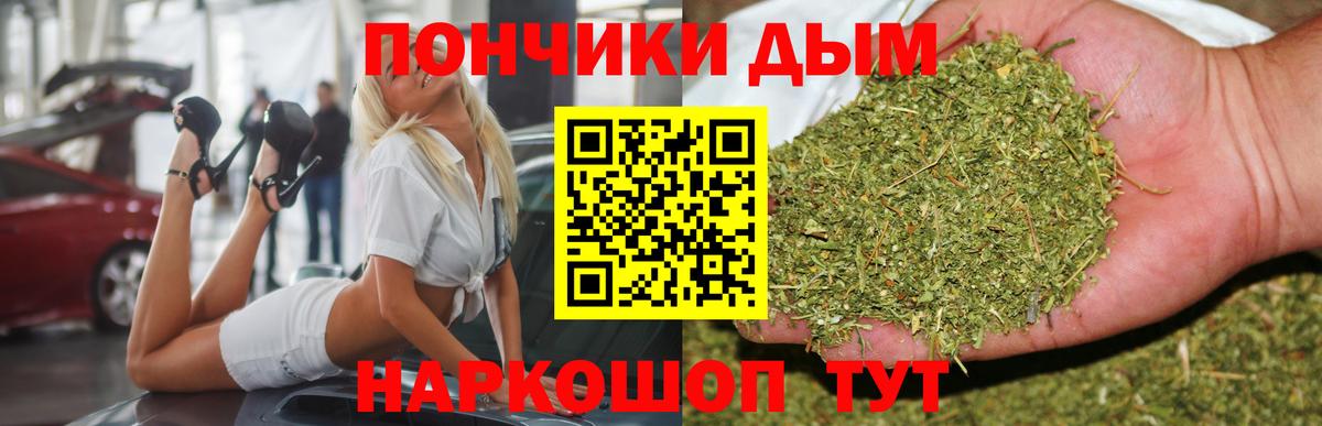 Горно-Алтайск  Бошки марихуана семена  Бошки марихуана OG Kush  Конопля гибрид  Каннабис сатива  Вход с VPN 
